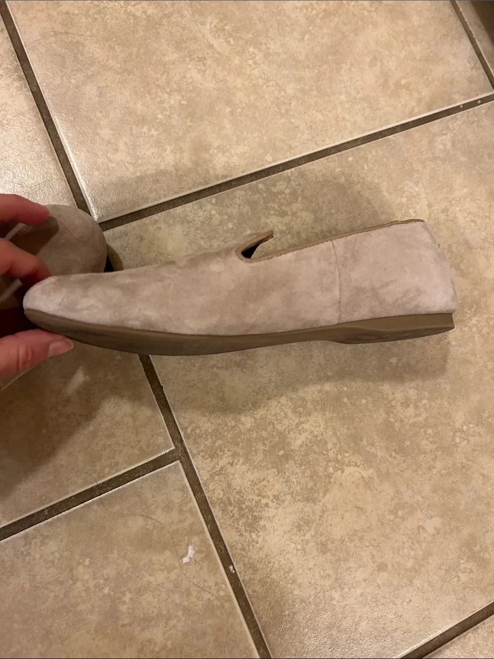Birdies 8 Taupe Suede Loafers
